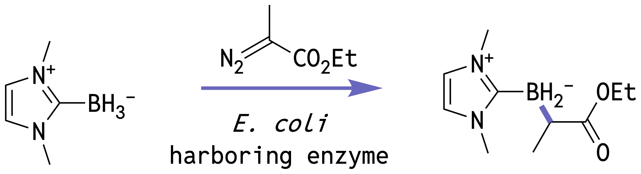 B-H Insertion Reaction Scheme