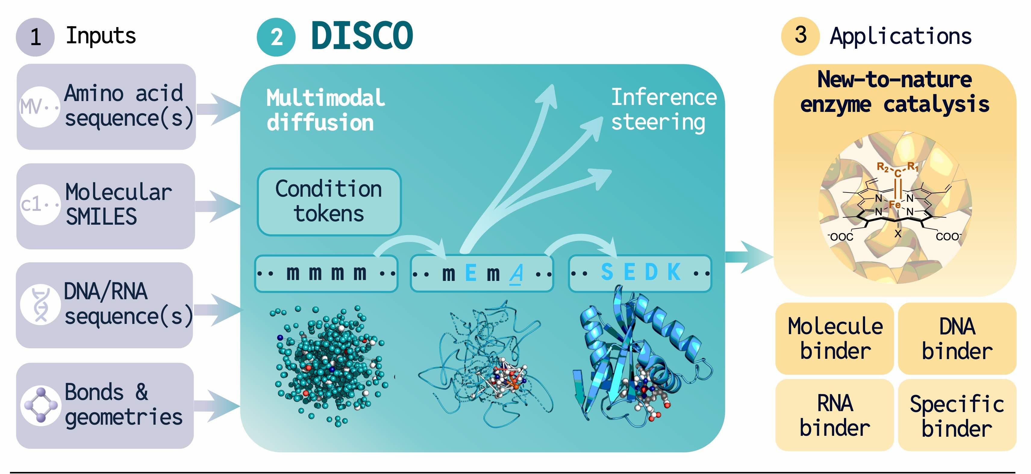 Figure 2: DISCO architecture and inference overview
