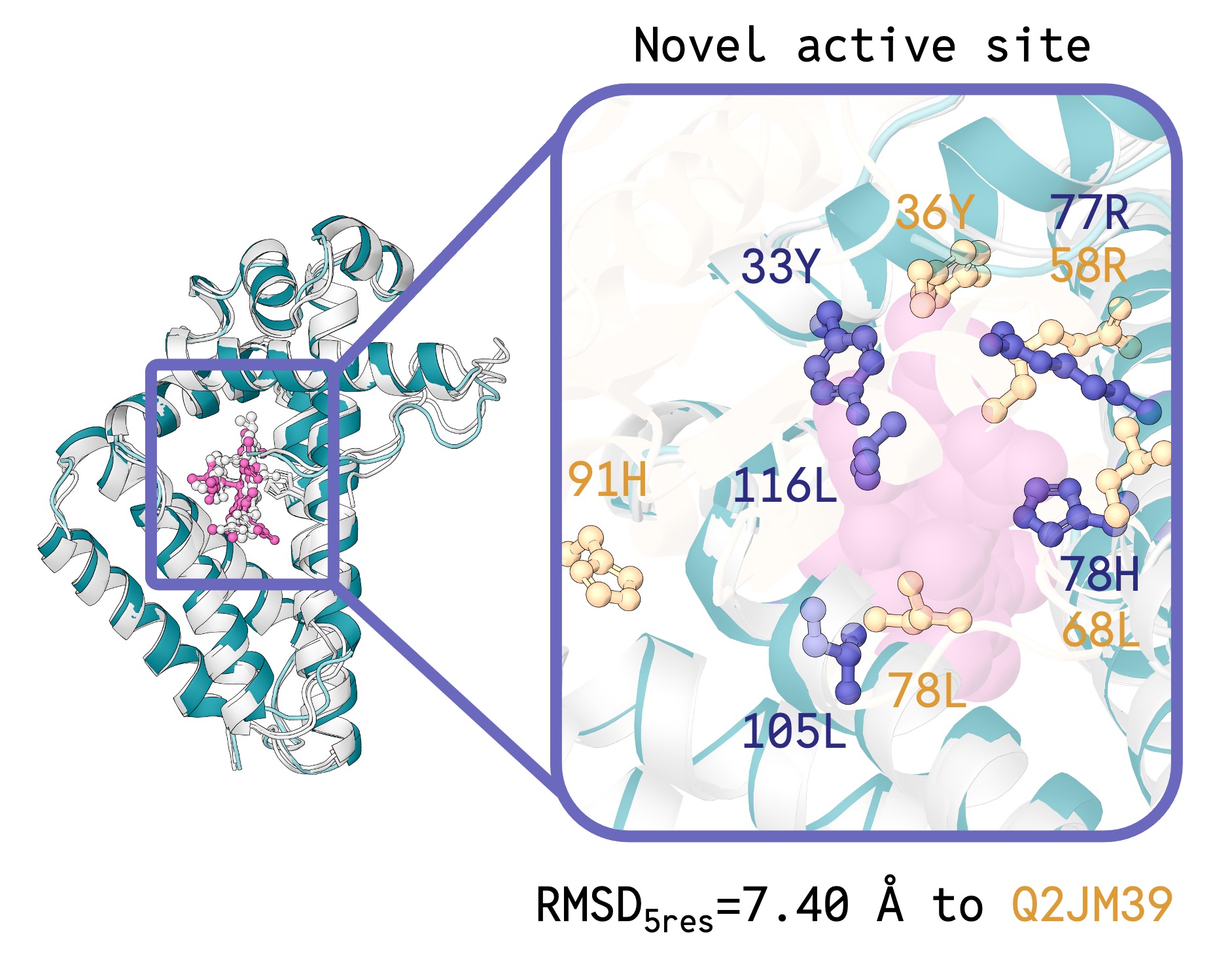 DISCO-designed enzyme dCT-H11 — a novel carbene transferase with no natural homolog