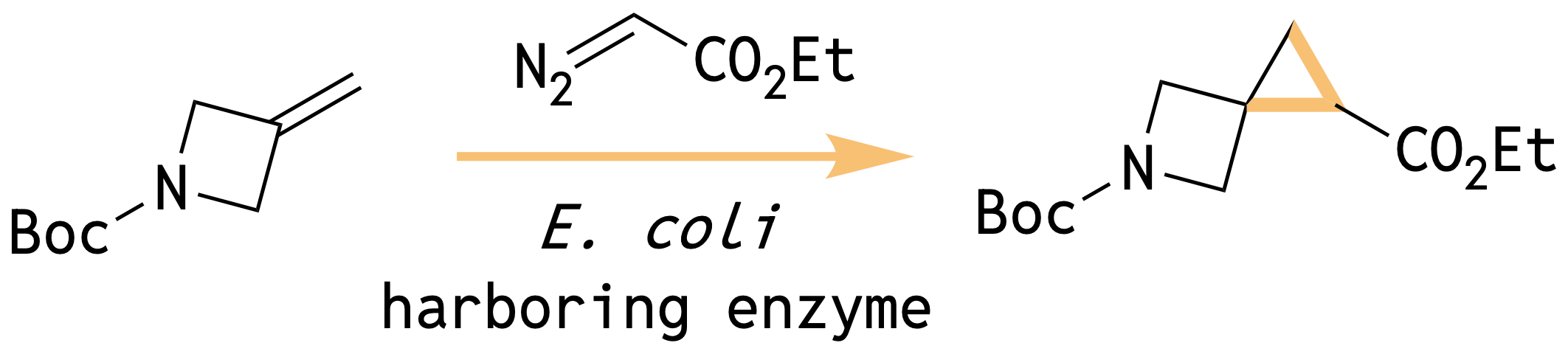 Spirocyclopropanation Reaction Scheme