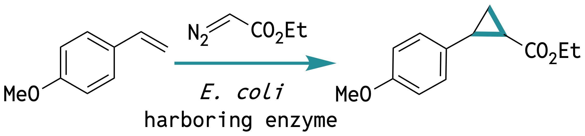 Styrene Cyclopropanation Reaction Scheme